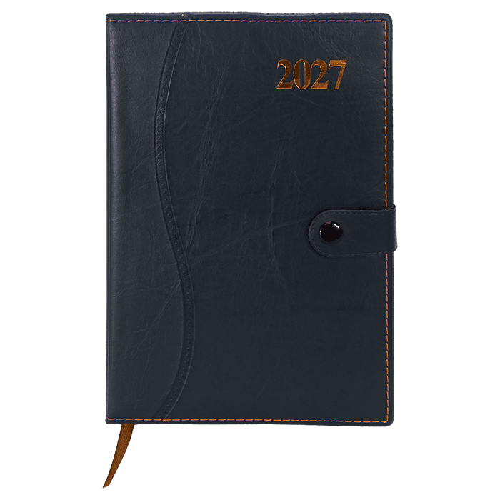 Barron 2027 Essential Diary